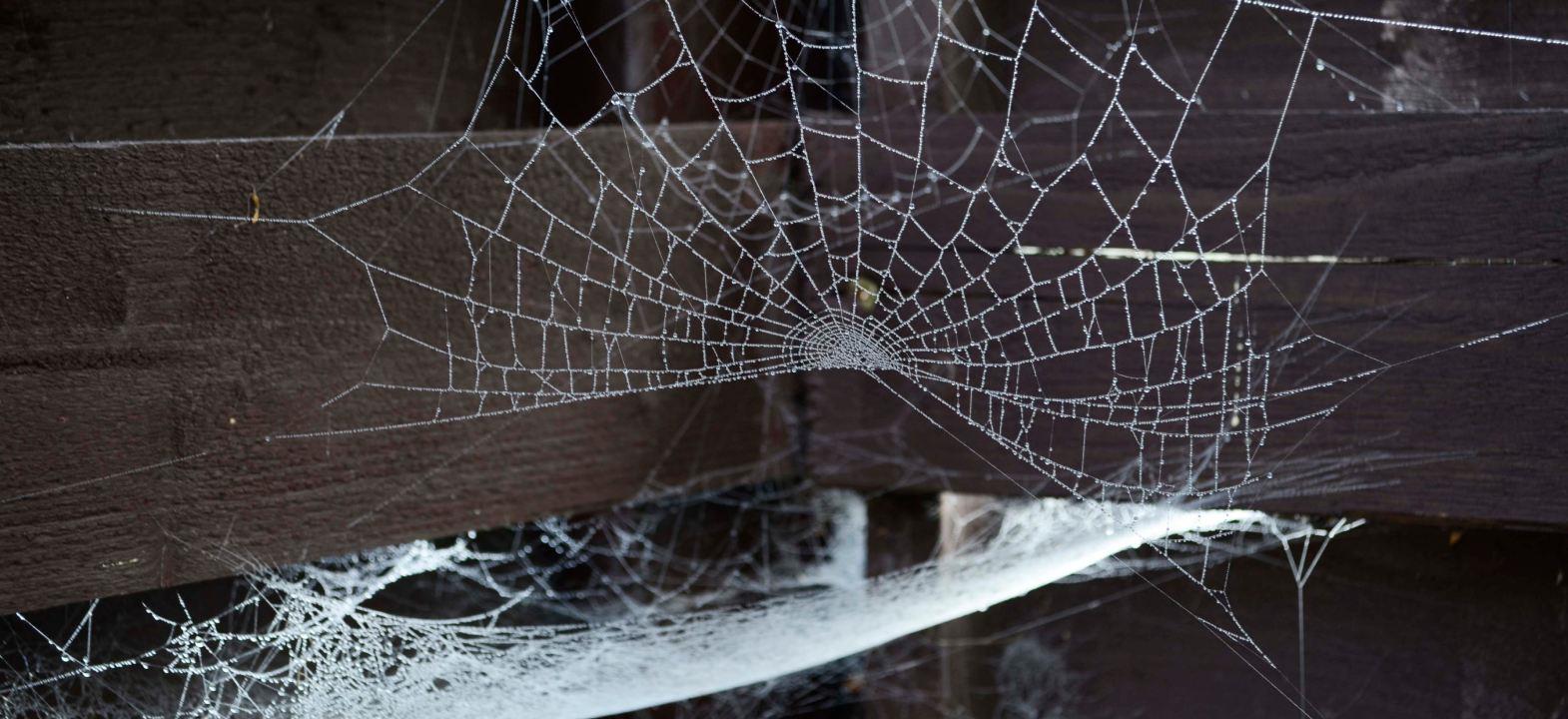 Polymeric Nanofibre Web In Filtration